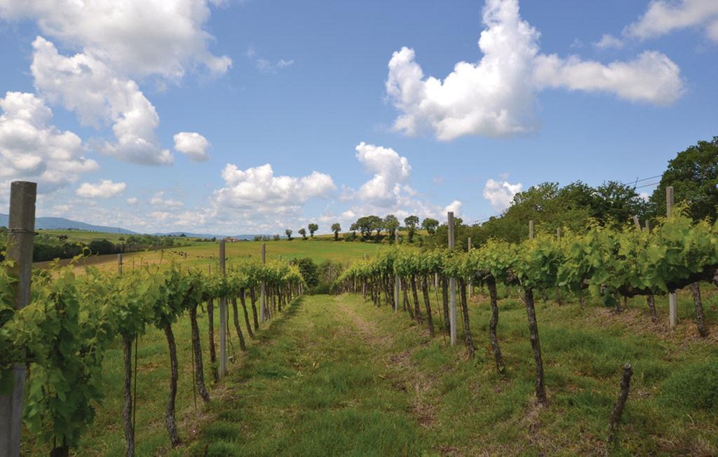 Agriturismo Il Canto Della Gallina Villastrada (Umbria) Bagian luar foto